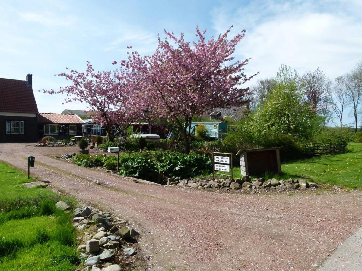 Betty'S Tiny House Bed & Breakfast Wieringerwerf Exterior photo