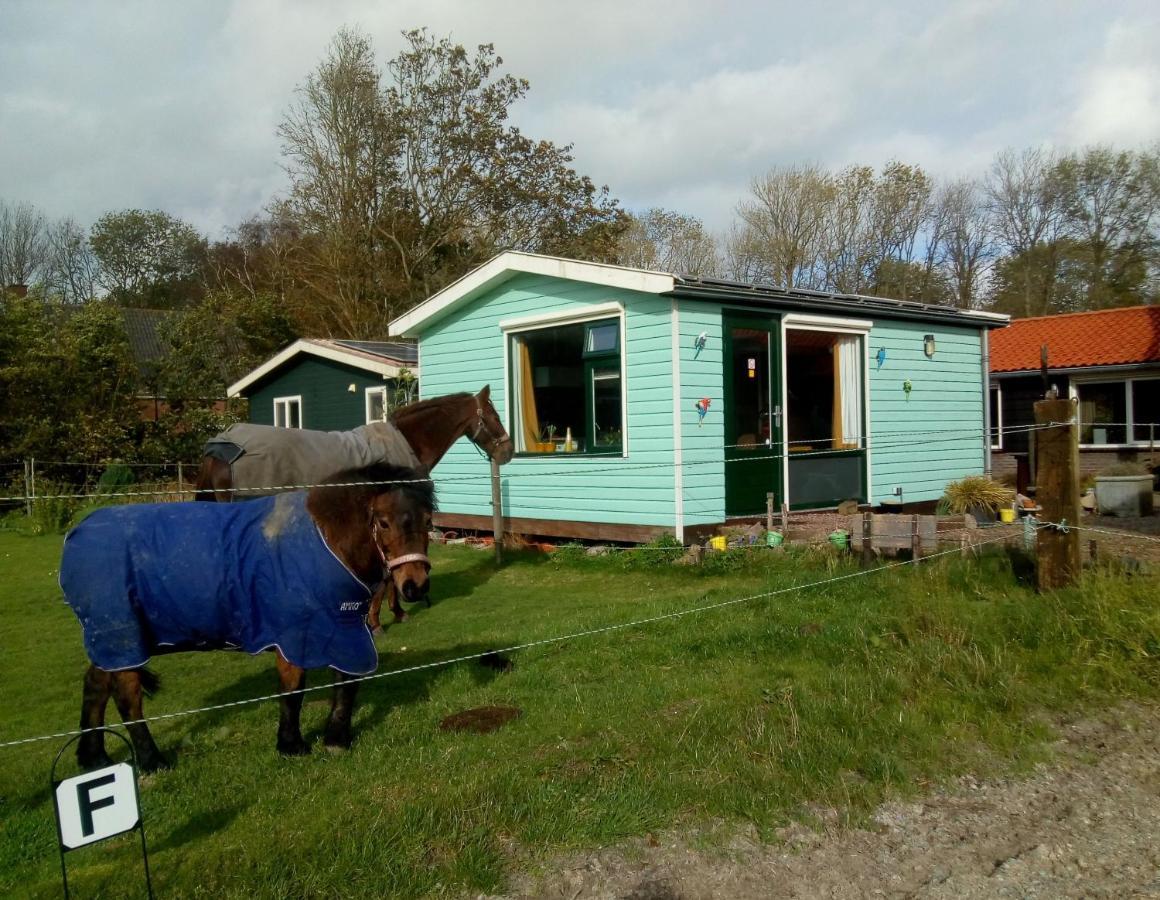 Betty'S Tiny House Bed & Breakfast Wieringerwerf Exterior photo